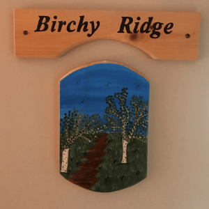 Birchy Ridge Room